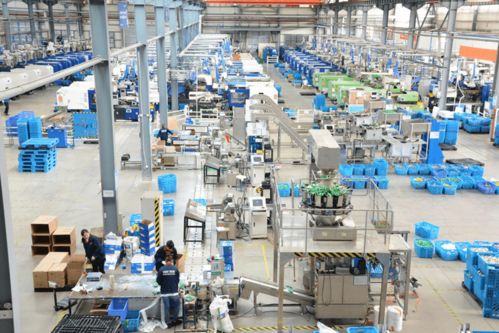 工業工程設計服務助力街道企業高效運轉，日派快遞16萬件